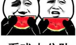 娱乐吃瓜酱考试