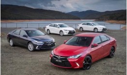 吃瓜娱乐圈camry,揭秘Camry的瓜田传奇