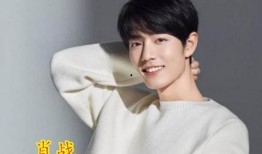 娱乐圈吃瓜爆料肖战小说