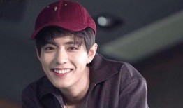 娱乐圈吃瓜爆料肖战小说